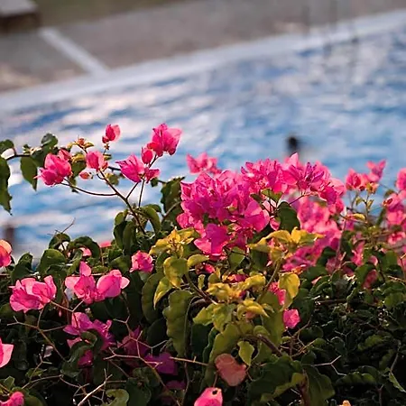 Hotel Antonina